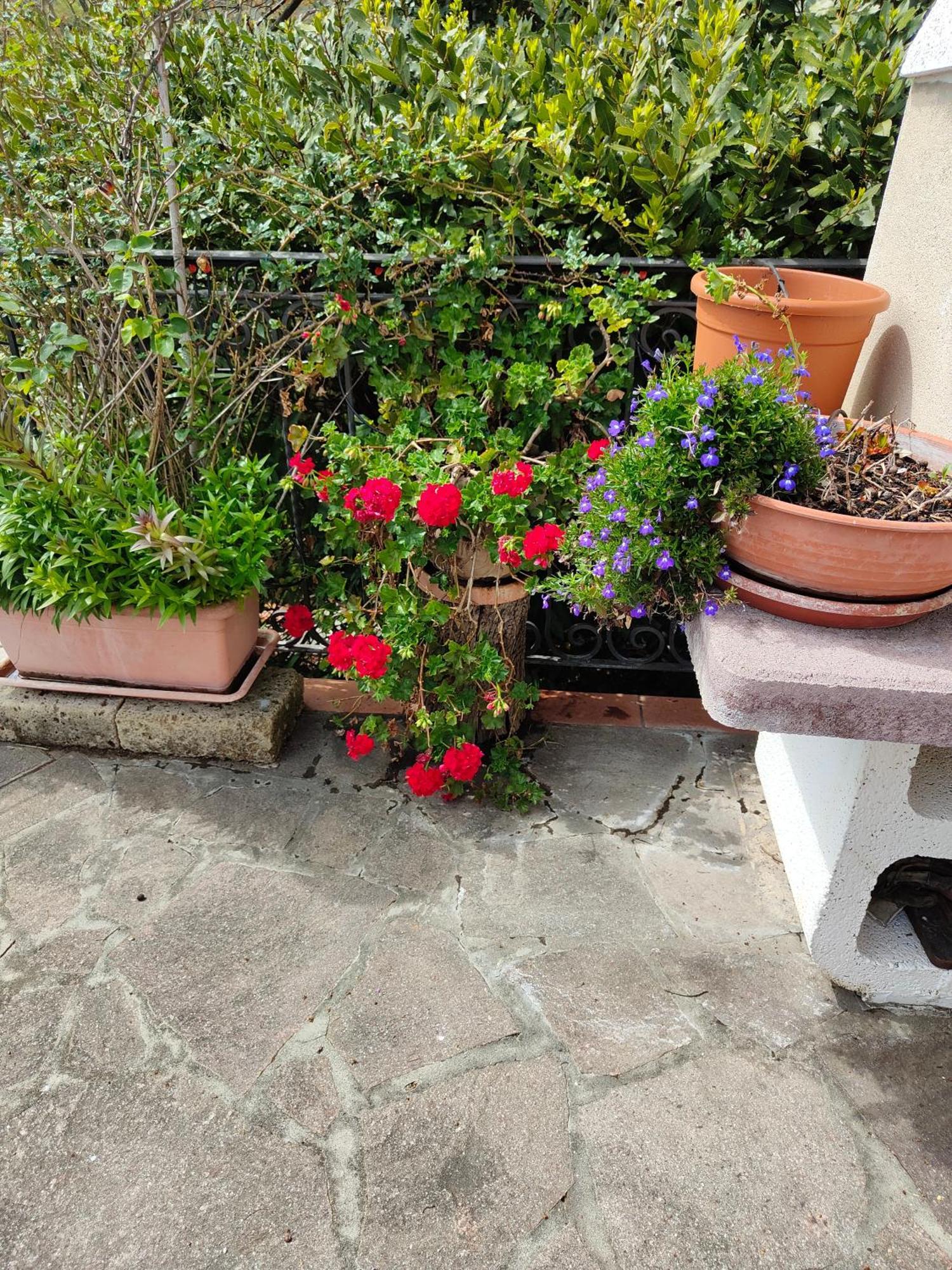 Appartement Il Diacciarello à Gabbro Extérieur photo